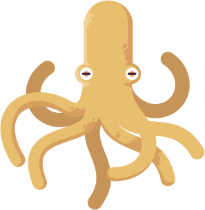 octopus